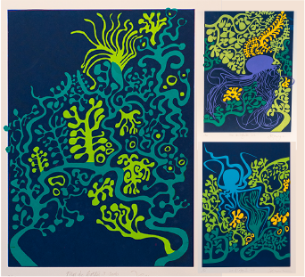 Sea of cortez by Francis Morgan